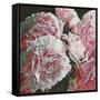 Peonies, 2010-Helen White-Framed Stretched Canvas