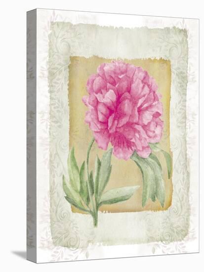 Peonies 2-Maria Trad-Stretched Canvas