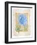 Peonies 4-Maria Trad-Framed Giclee Print