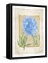 Peonies 4-Maria Trad-Framed Stretched Canvas