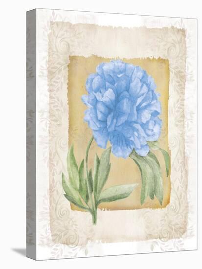 Peonies 4-Maria Trad-Stretched Canvas