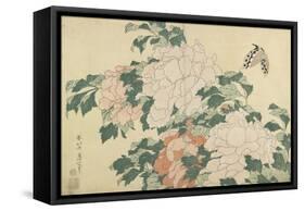 Peonies and Butterfly, C. 1830-1831-Katsushika Hokusai-Framed Stretched Canvas