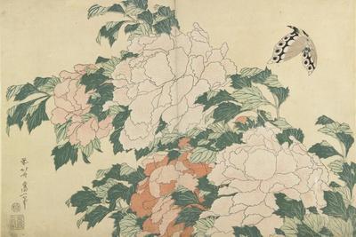https://imgc.allpostersimages.com/img/posters/peonies-and-butterfly-c-1830-1831_u-L-Q1HLEQL0.jpg?artPerspective=n