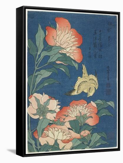 Peonies and Canary, C. 1833-Katsushika Hokusai-Framed Stretched Canvas