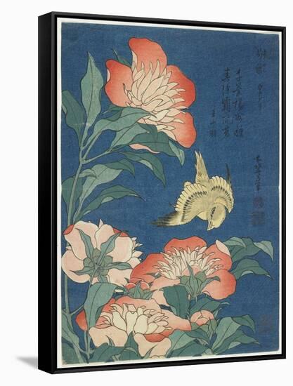 Peonies and Canary, C. 1833-Katsushika Hokusai-Framed Stretched Canvas