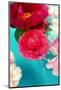 Peonies and Ranunculus Blossoms in Red and Rose, Swimming in Gloriously Blue Water-Alaya Gadeh-Mounted Photographic Print