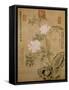 Peonies and Rock, Summer of Quisi Year of the Guangxu Era-Cixi-Framed Stretched Canvas