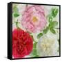 Peonies and Roses III-Cora Niele-Framed Stretched Canvas