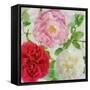 Peonies and Roses III-Cora Niele-Framed Stretched Canvas