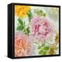 Peonies and Roses IV-Cora Niele-Framed Stretched Canvas