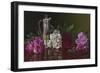 Peonies and Tea-Christopher Pierce-Framed Giclee Print