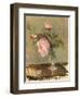 Peonies, C.1869 (Oil on Canvas)-Berthe Morisot-Framed Giclee Print