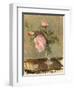 Peonies, C.1869 (Oil on Canvas)-Berthe Morisot-Framed Giclee Print