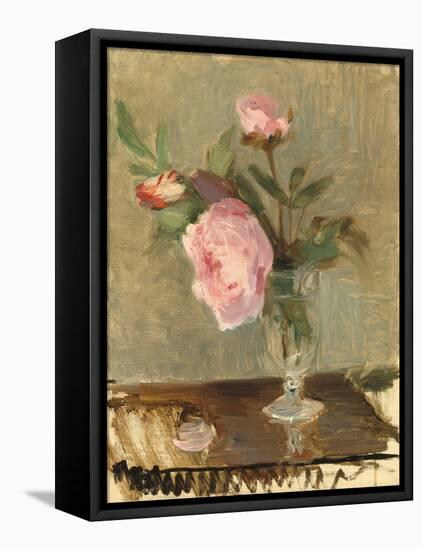 Peonies, C.1869 (Oil on Canvas)-Berthe Morisot-Framed Stretched Canvas