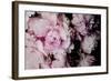 Peonies Galore I-Elizabeth Urquhart-Framed Photo