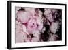 Peonies Galore I-Elizabeth Urquhart-Framed Photo