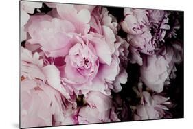 Peonies Galore I-Elizabeth Urquhart-Mounted Photo