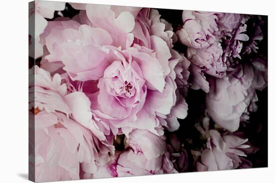 Peonies Galore I-Elizabeth Urquhart-Stretched Canvas