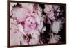 Peonies Galore I-Elizabeth Urquhart-Framed Photo