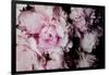 Peonies Galore I-Elizabeth Urquhart-Framed Photo