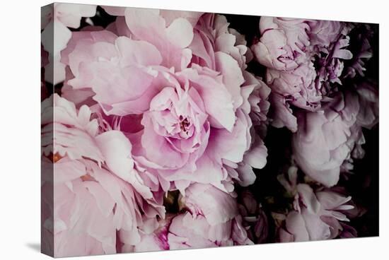 Peonies Galore I-Elizabeth Urquhart-Stretched Canvas