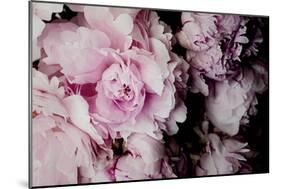 Peonies Galore I-Elizabeth Urquhart-Mounted Photographic Print