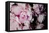 Peonies Galore I-Elizabeth Urquhart-Framed Stretched Canvas