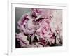 Peonies Galore II-Elizabeth Urquhart-Framed Photo