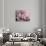 Peonies Galore II-Elizabeth Urquhart-Stretched Canvas displayed on a wall