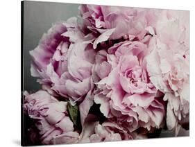 Peonies Galore II-Elizabeth Urquhart-Stretched Canvas