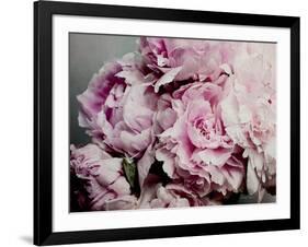 Peonies Galore II-Elizabeth Urquhart-Framed Photographic Print