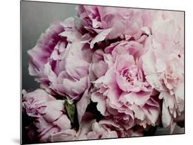 Peonies Galore II-Elizabeth Urquhart-Mounted Photographic Print