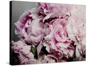 Peonies Galore II-Elizabeth Urquhart-Stretched Canvas