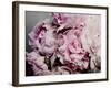 Peonies Galore II-Elizabeth Urquhart-Framed Photographic Print