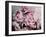 Peonies Galore II-Elizabeth Urquhart-Framed Photo