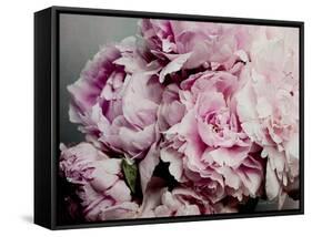 Peonies Galore II-Elizabeth Urquhart-Framed Stretched Canvas