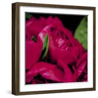 Peonies I-Ella Lancaster-Framed Giclee Print