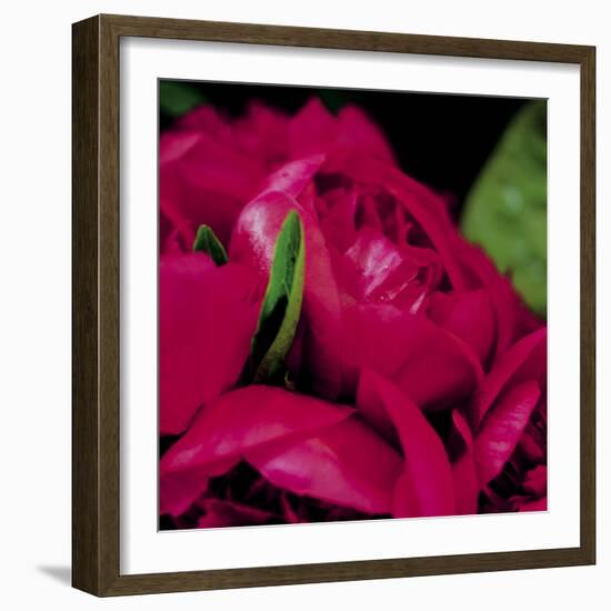 Peonies I-Ella Lancaster-Framed Giclee Print