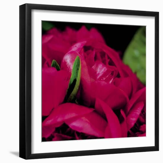 Peonies I-Ella Lancaster-Framed Giclee Print