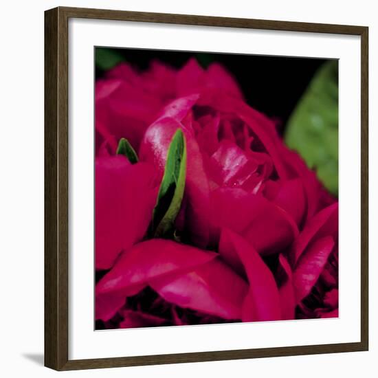 Peonies I-Ella Lancaster-Framed Giclee Print