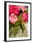 Peonies I-Karyn Millet-Framed Photographic Print