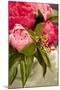 Peonies I-Karyn Millet-Mounted Photographic Print