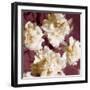 Peonies I-Shawna Sullivan-Framed Art Print