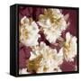 Peonies I-Shawna Sullivan-Framed Stretched Canvas