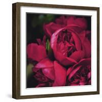 Peonies II-Ella Lancaster-Framed Giclee Print