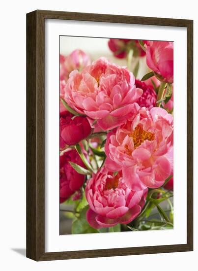 Peonies II-Karyn Millet-Framed Photographic Print