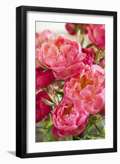 Peonies II-Karyn Millet-Framed Photographic Print