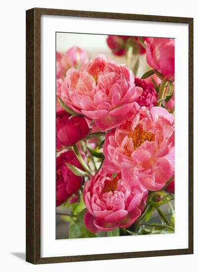 Peonies II-Karyn Millet-Framed Photographic Print