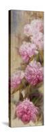 Peonies II-li bo-Stretched Canvas