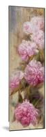 Peonies II-li bo-Mounted Giclee Print